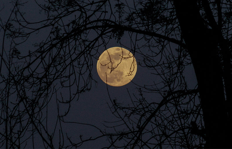 Calendario lunar julio 2026
