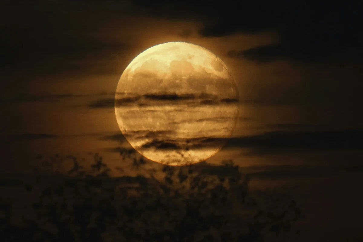 Calendario lunar noviembre 2026