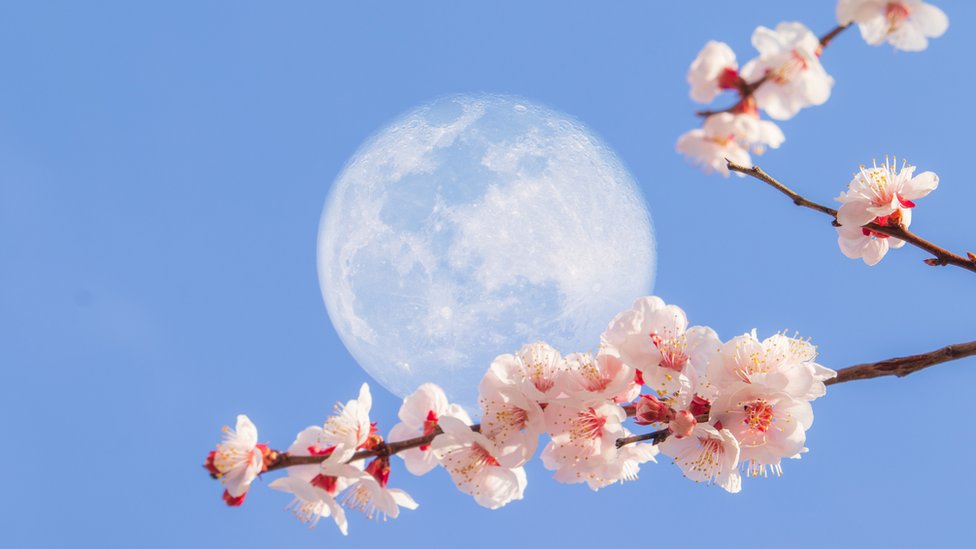 Calendario lunar septiembre 2026