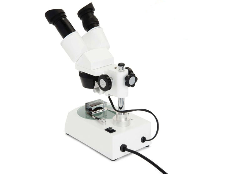 Microscopio Celestron Labs S10-60