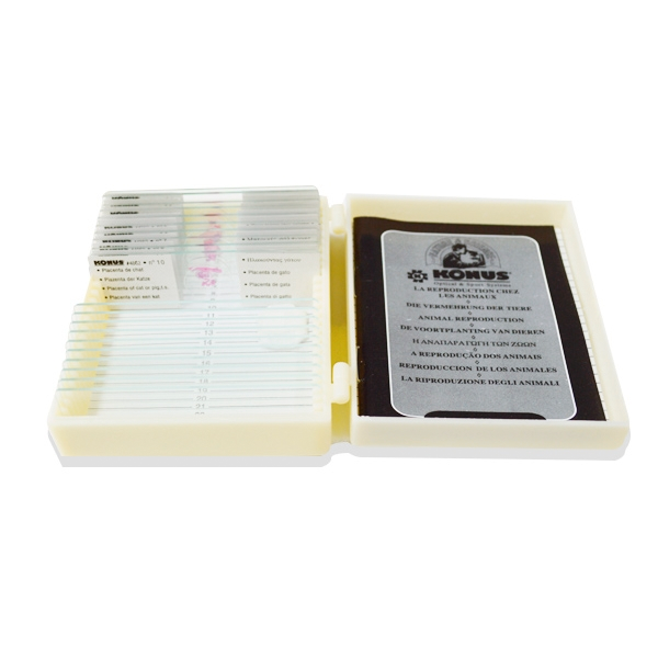 Muestras Microscópicas - Peces, Ranas y Anfibios