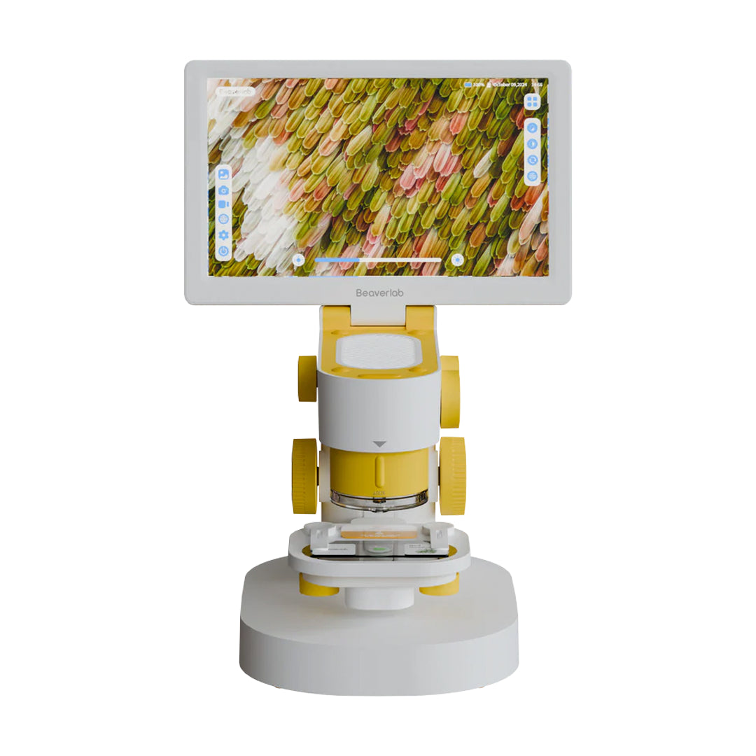 Microscopio Digital Beaverlab Darwin MX Pro